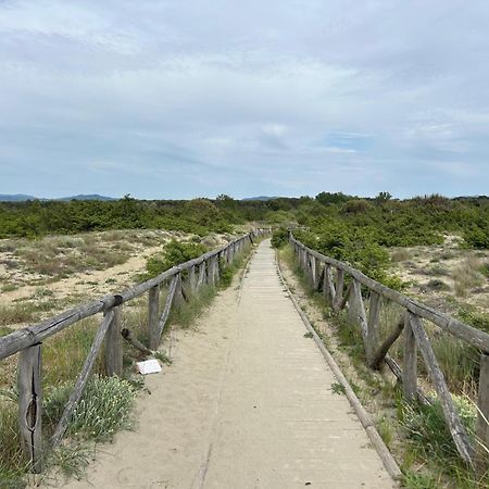 Il Mio Piccolo Angolo Di Mare Viareggio Eksteriør billede