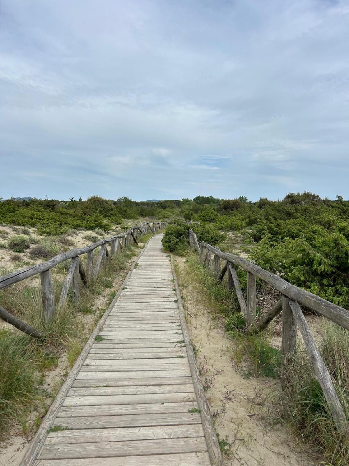 Il Mio Piccolo Angolo Di Mare Viareggio Eksteriør billede