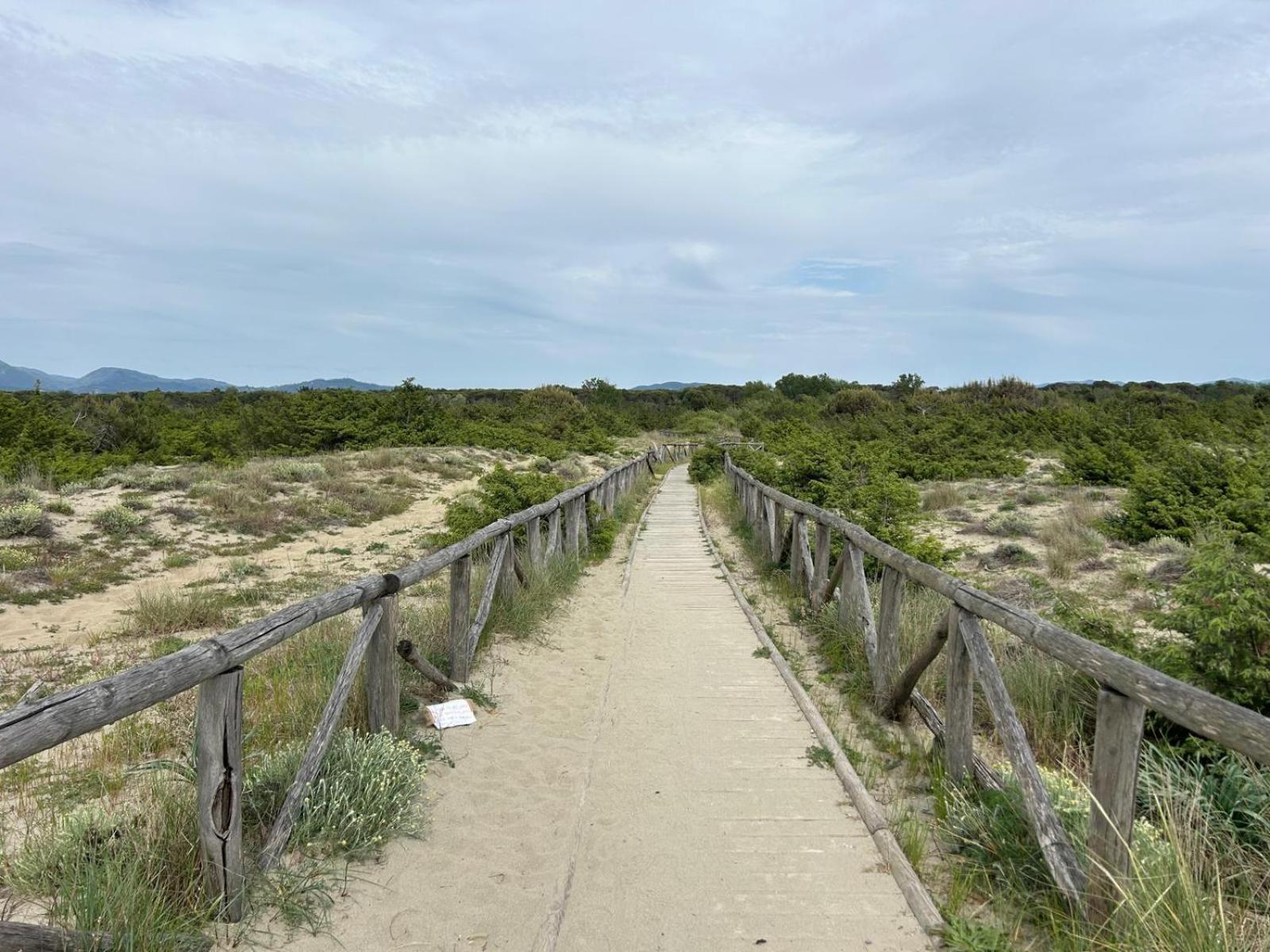 Il Mio Piccolo Angolo Di Mare Viareggio Eksteriør billede